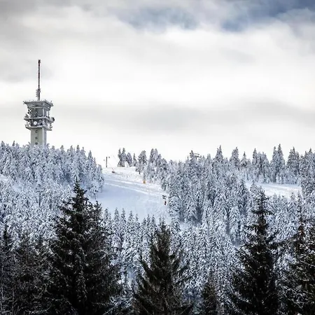 Meadows Klinovec Apartment Loucna pod Klinovcem